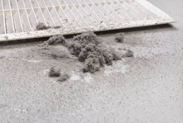 Best Ductwork Cleaning Services  in Evadale, TX