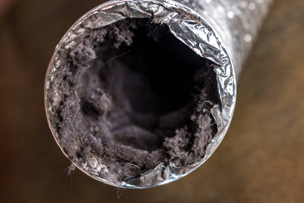 Professional Airduct Cleaning in TX